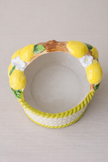 Lemon basket (Handpainted)