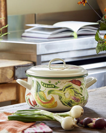 Mixed Vegetable Enamel Medium Cooking Casserole Pot