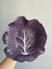[Imperfect] Violet Cabbage Concave Leaf
