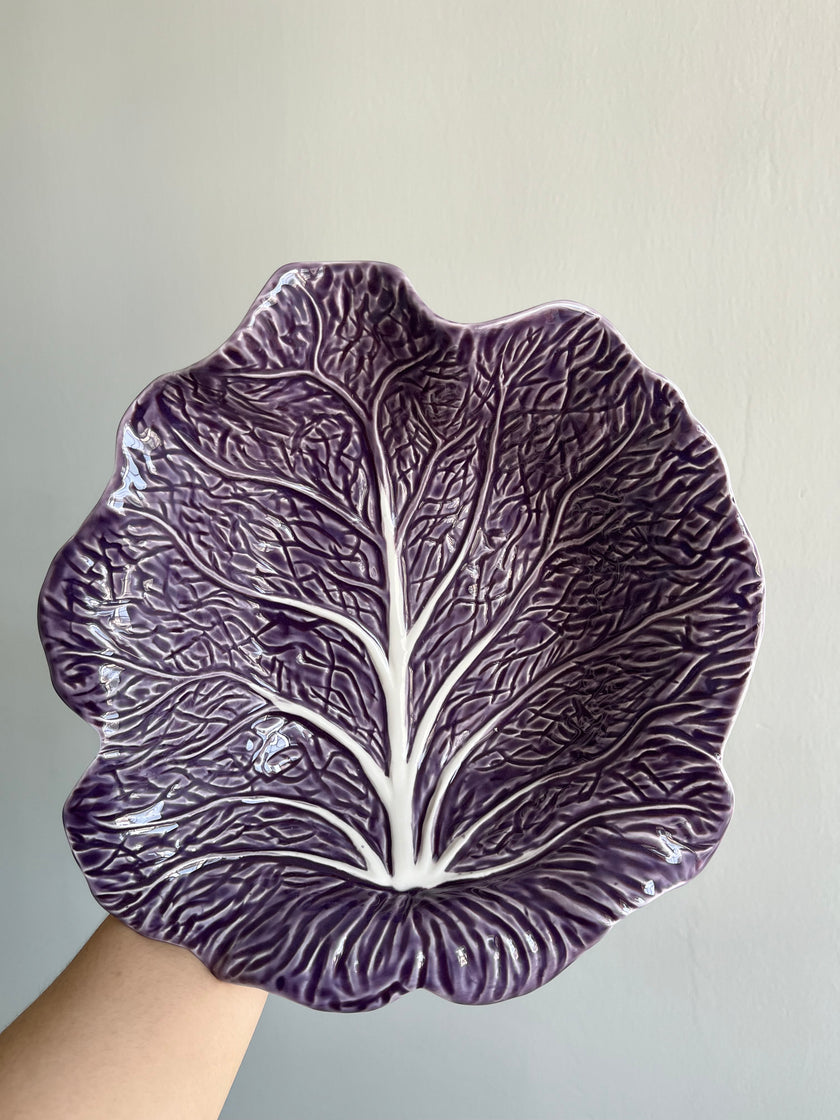 [Imperfect] Violet Cabbage Concave Leaf