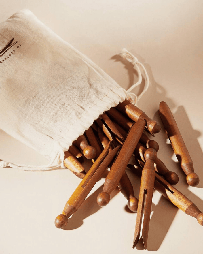 Set of 20 Wooden Pegs