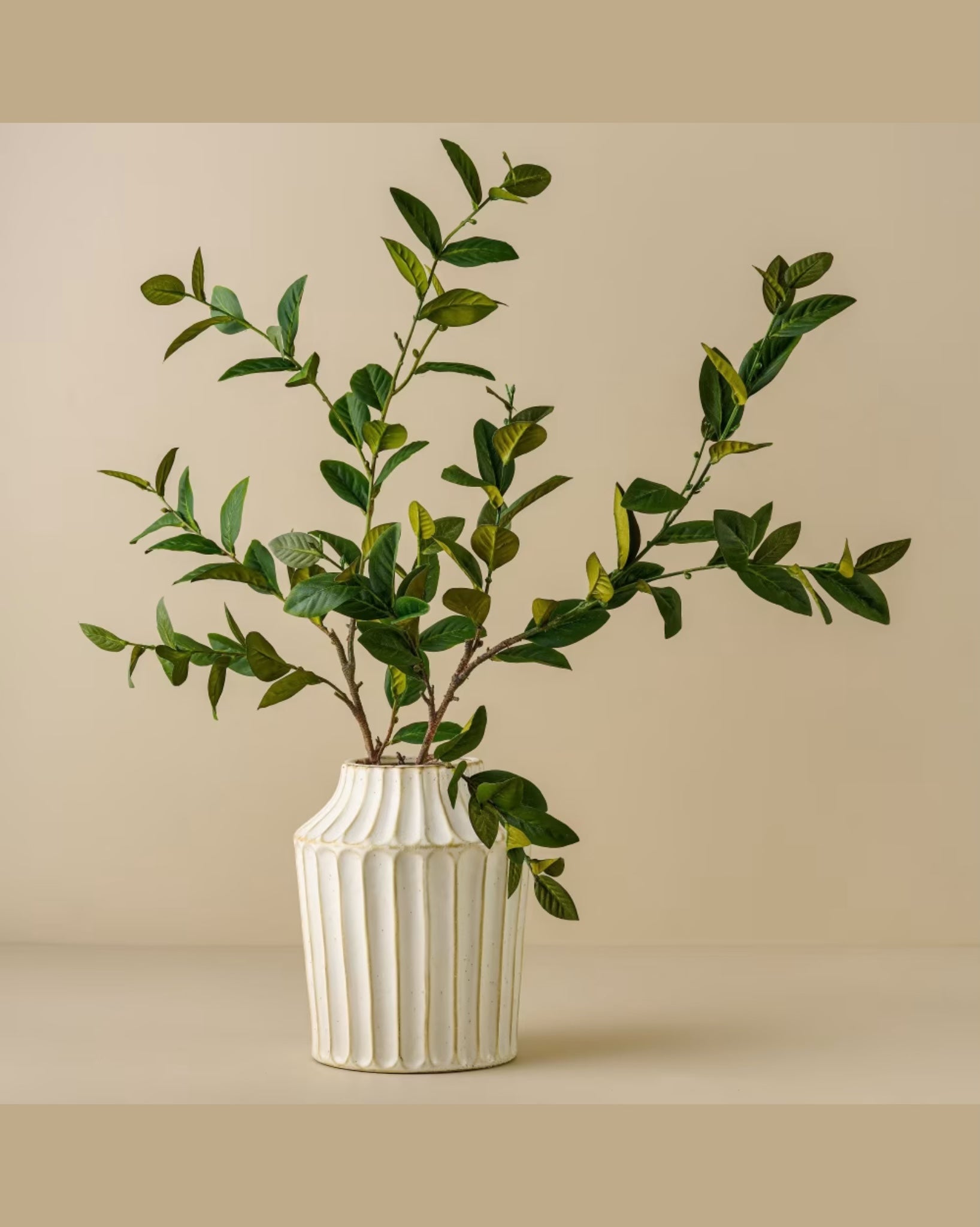 Reagan Ribbed White Vase (LARGE)