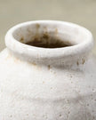 Marie Distressed Crackle Vase