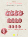 Pink Cabbage 4 Pax Set (12 Pieces)