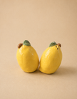 Sicilian Lemon Salt & Pepper Set