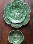Green Cabbage 4 Pax Set (12 Pieces)