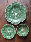 Green Cabbage 4 Pax Set (12 Pieces)