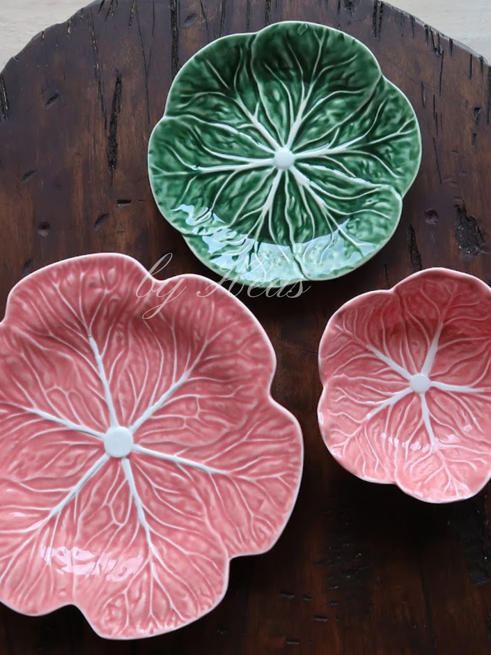 Pink Muse Cabbage 4 Pax Set (12 Pieces) - Mixed Colours
