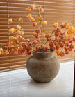Amber Branch Everlasting Floral Arrangement and Vase Set
