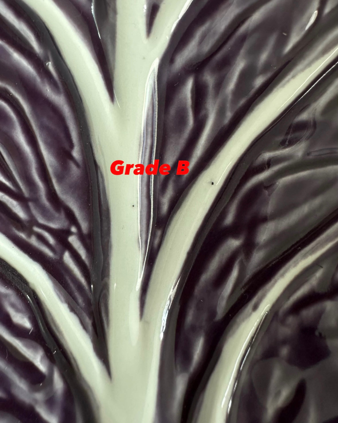 [Imperfect] Violet Cabbage Concave Leaf