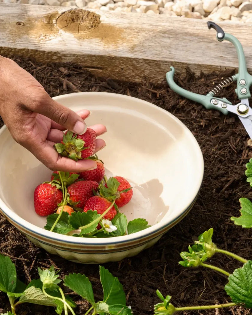 Set of 2 Maison Striped Mixing Bowl