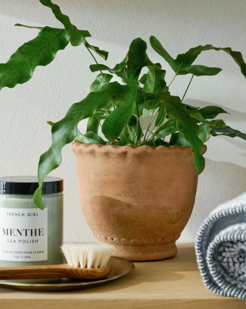 Terracotta Garden Scalloped Edge Pot