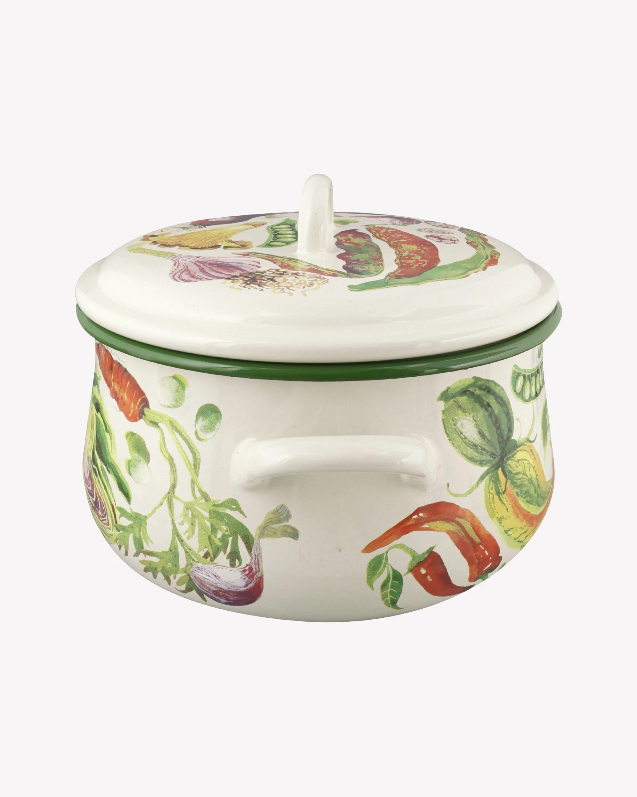 Mixed Vegetable Enamel Medium Cooking Casserole Pot
