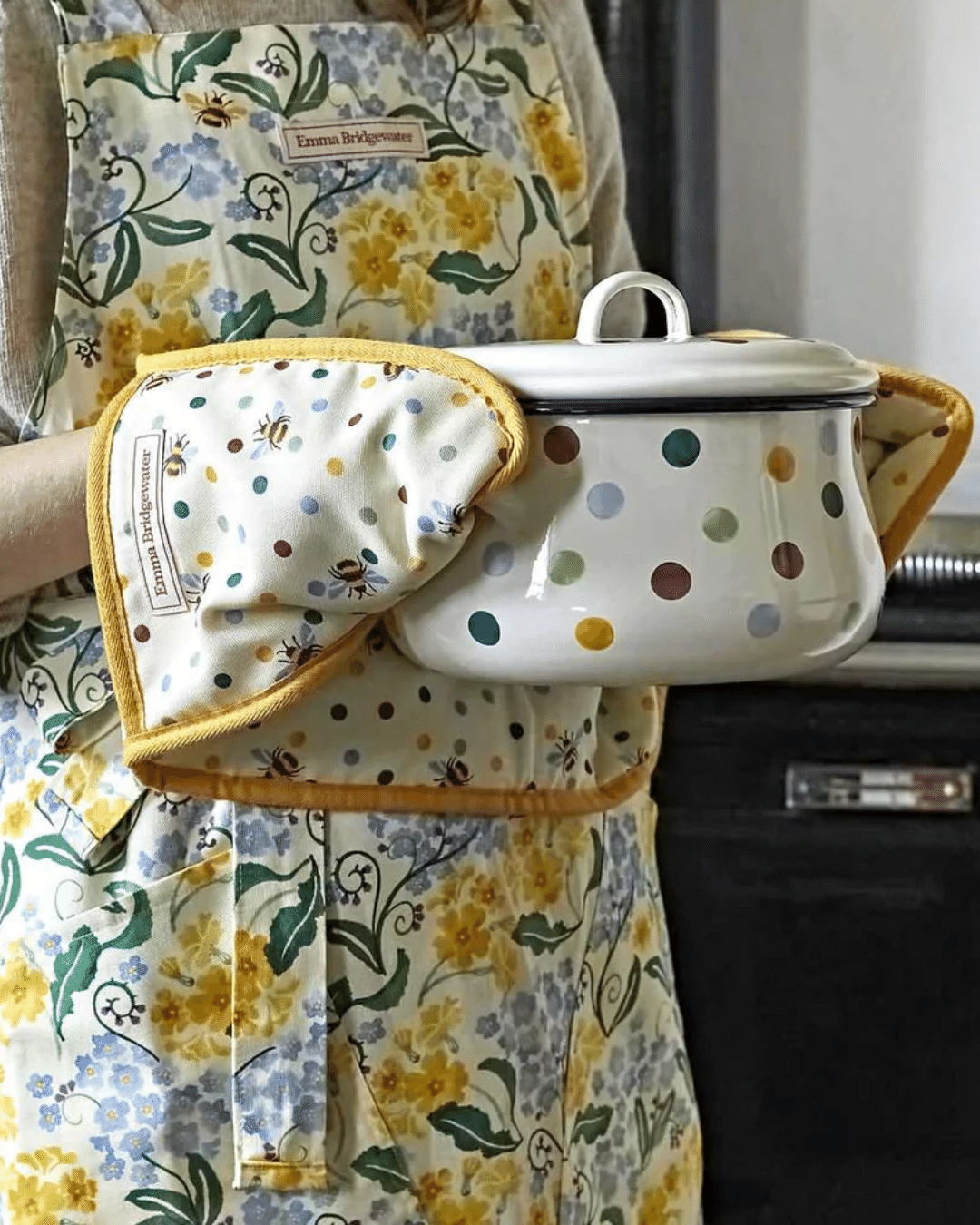 Polka Dot Medium Enamel Cooking Casserole Pot