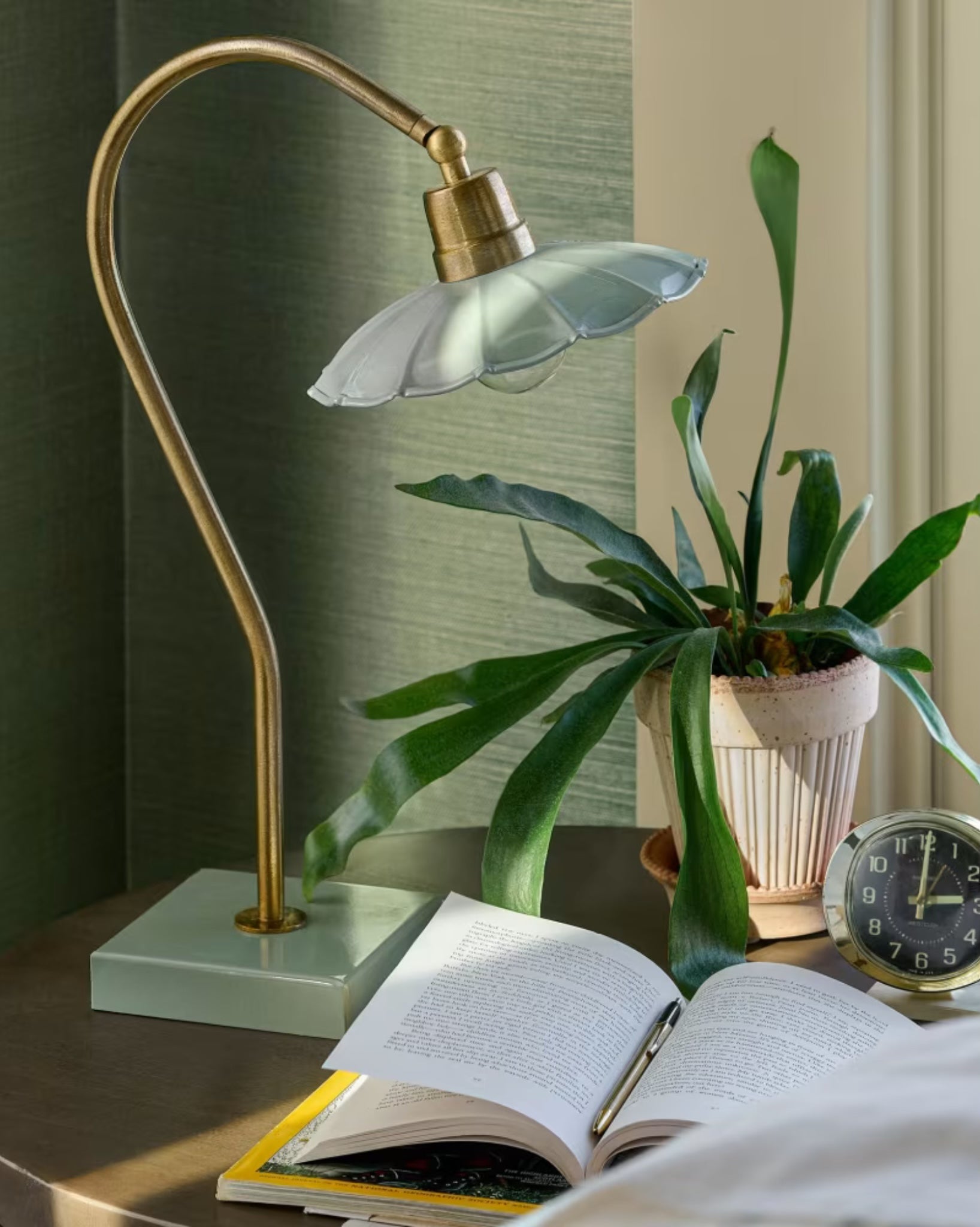 Terracotta Dotted Bergs Pot