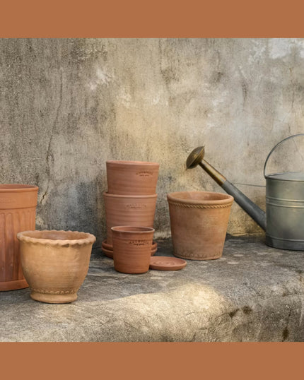 Terracotta Garden Scalloped Edge Pot