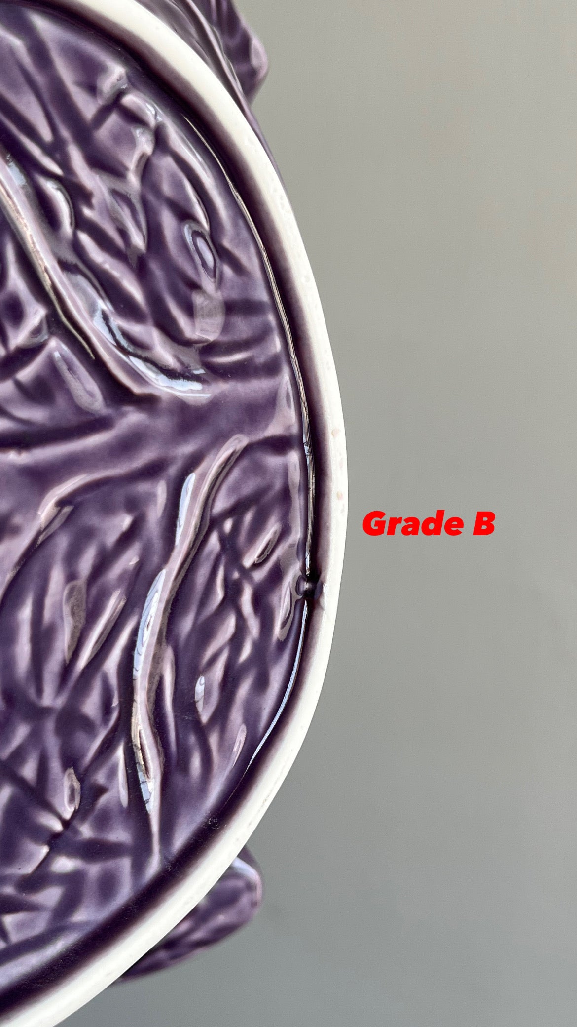 [Imperfect] Violet Cabbage Concave Leaf