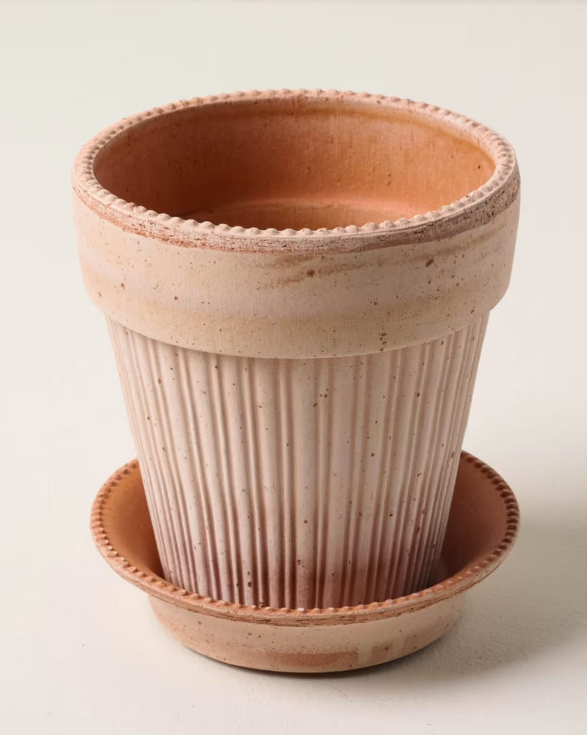 Terracotta Dotted Bergs Pot