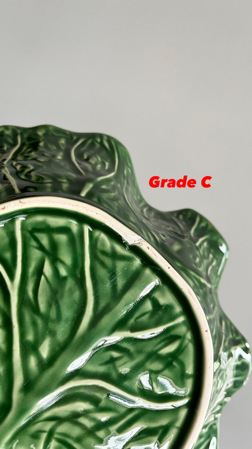 [Imperfect] Green Cabbage Concave Leaf