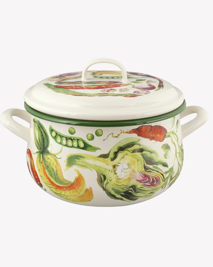 Mixed Vegetable Enamel Medium Cooking Casserole Pot