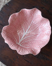 Pink Cabbage Concave Leaf 26cm