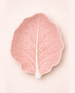 Pink Cabbage Leaf Plate 36cm