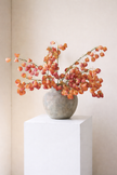 Amber Branch Everlasting Floral Arrangement and Vase Set