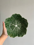 [Imperfect] Green Cabbage Serving Bowl