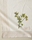 Magnolia Molly's White Garden Tea Towel
