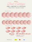 Pink Cabbage 8 Pax Set (24 Pieces)