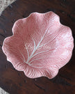 [Imperfect] Pink Cabbage Concave Leaf
