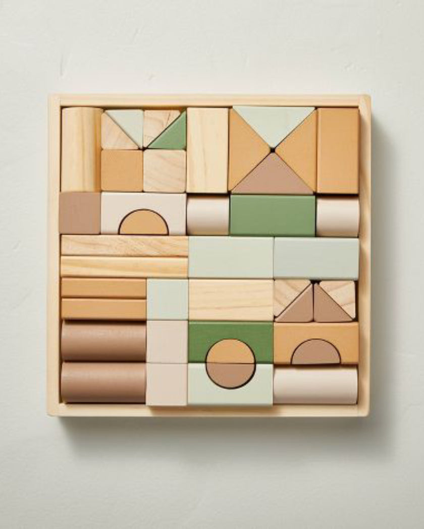 Toy Building Blocks Set - 43 pieces