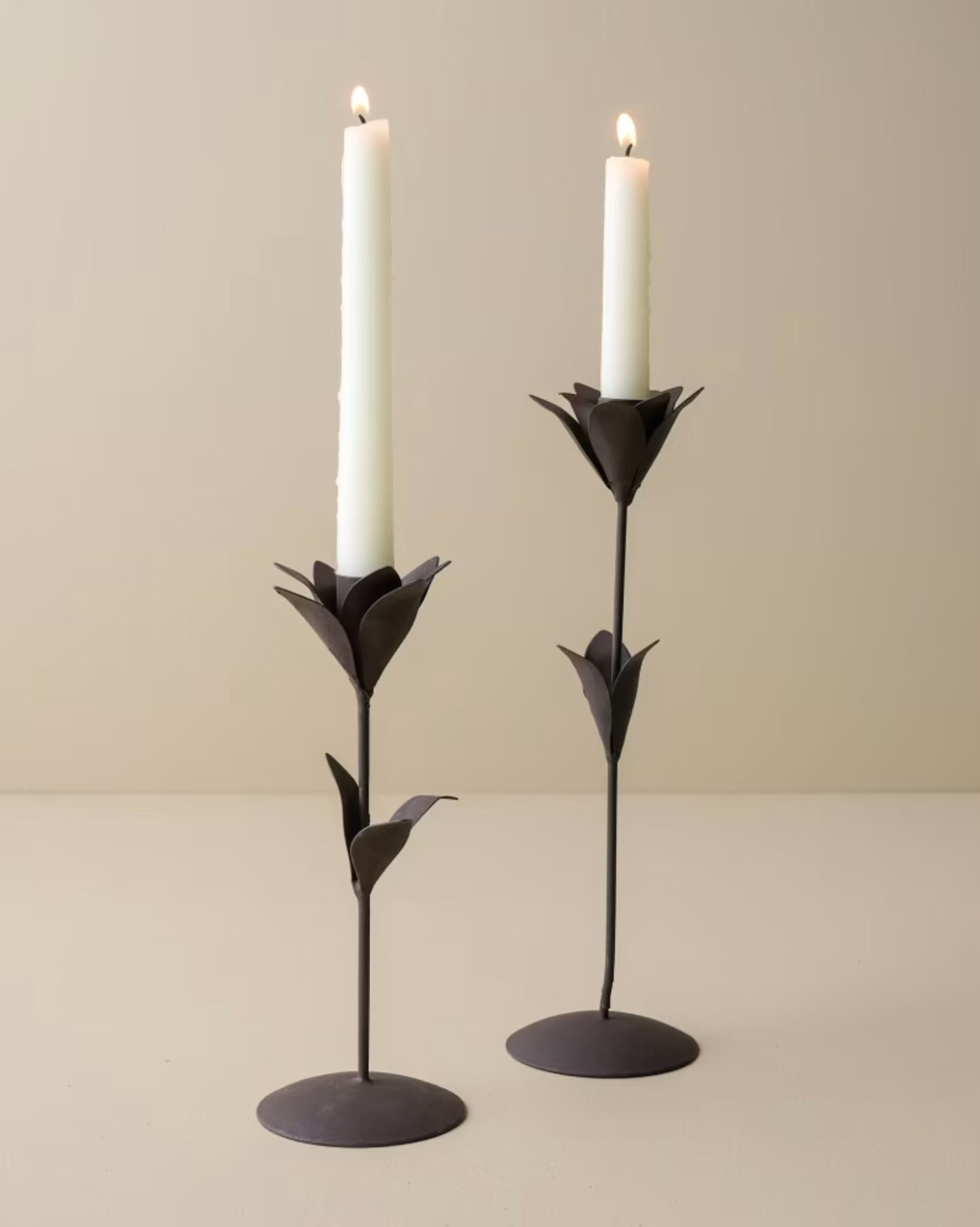 Tulip Iron Taper Holder