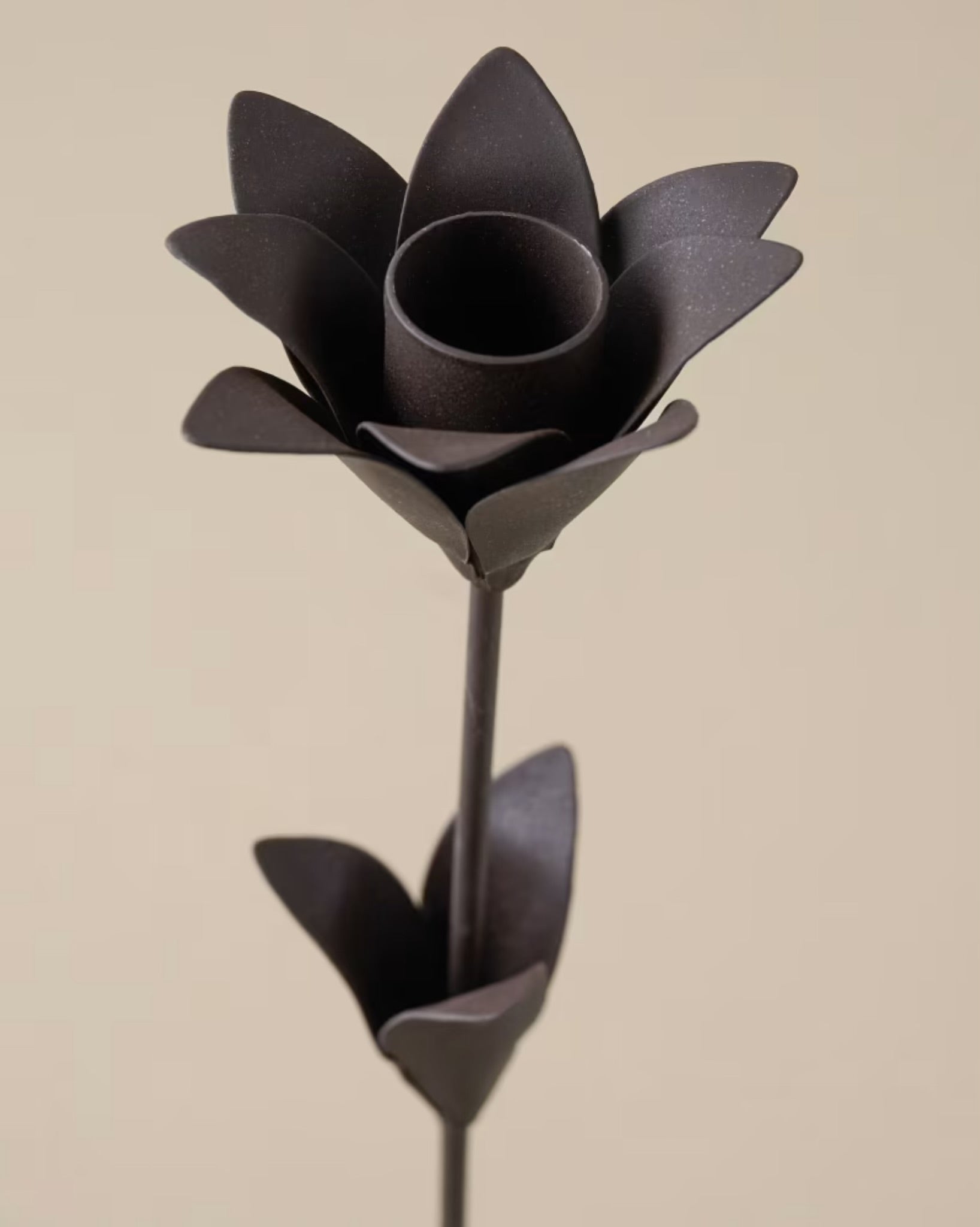 Tulip Iron Taper Holder