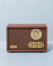 Portable AM/FM Bluetooth Radio Tonal Brown