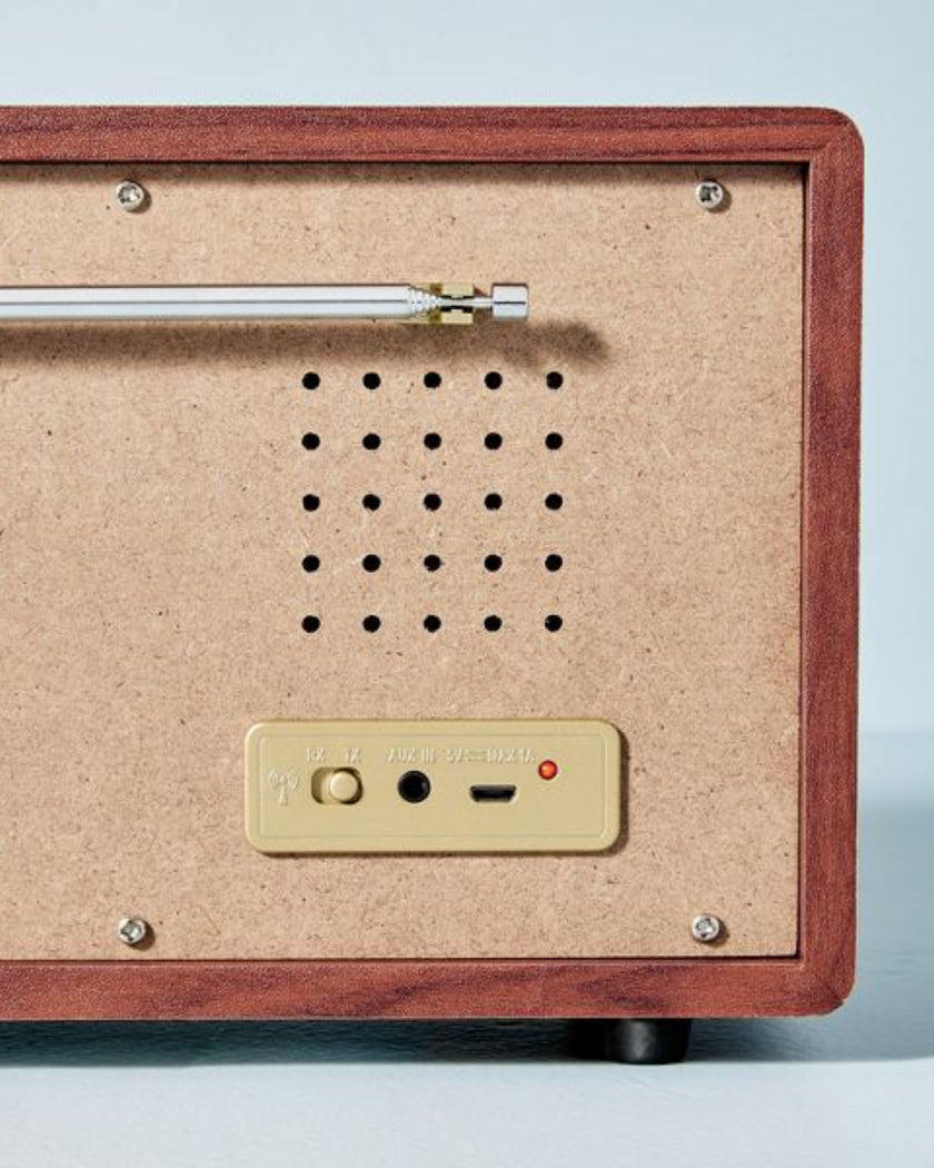 Portable AM/FM Bluetooth Radio Tonal Brown